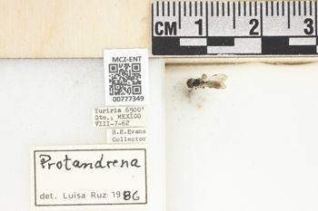 Media type: image;   Entomology 777349 Aspect: Labels